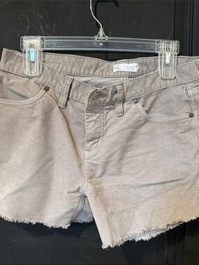 Carve Designs Women's Taupe Corduroy Frayed-Hem Shorts size 6